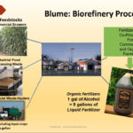blume biorefinery process copy